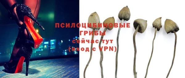 ешки Белоозёрский