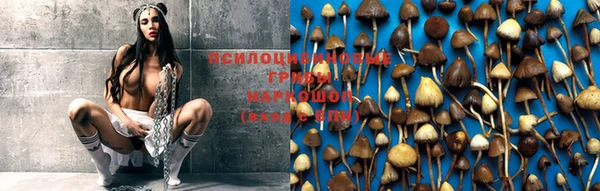 ешки Белоозёрский