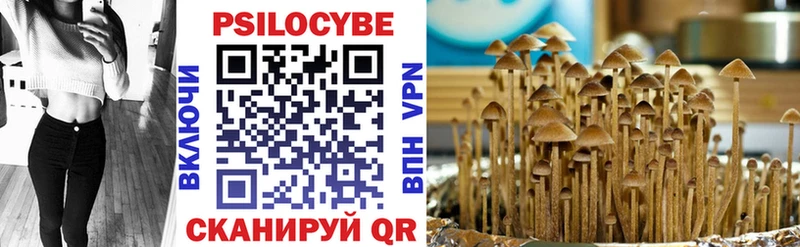 ссылка на мегу   где можно купить   Георгиевск  Псилоцибиновые грибы прущие грибы 